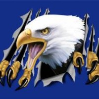 eagle