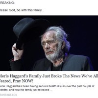 merle-clickbait-3