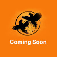 turnpike-troubadours-coming-soon