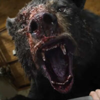 cocaine-bear