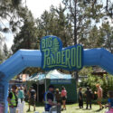 big-ponderoo