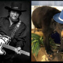 waylon-jennings-cocaine-bear