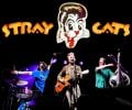 stray-cats