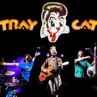 stray-cats stray-cats