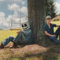 marshmello-hudson-westbrook