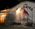 Dallas Burrow’s Redbird Listening Room Is a Gem of Texas Music